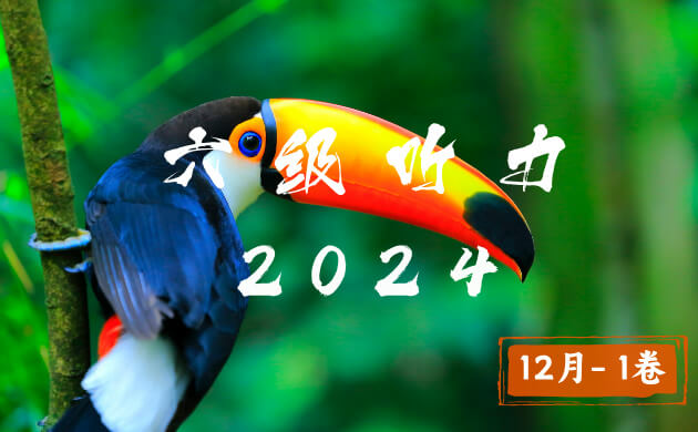 2024 年大学英语六级 12 月 I 卷