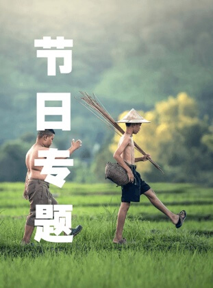 节日专题